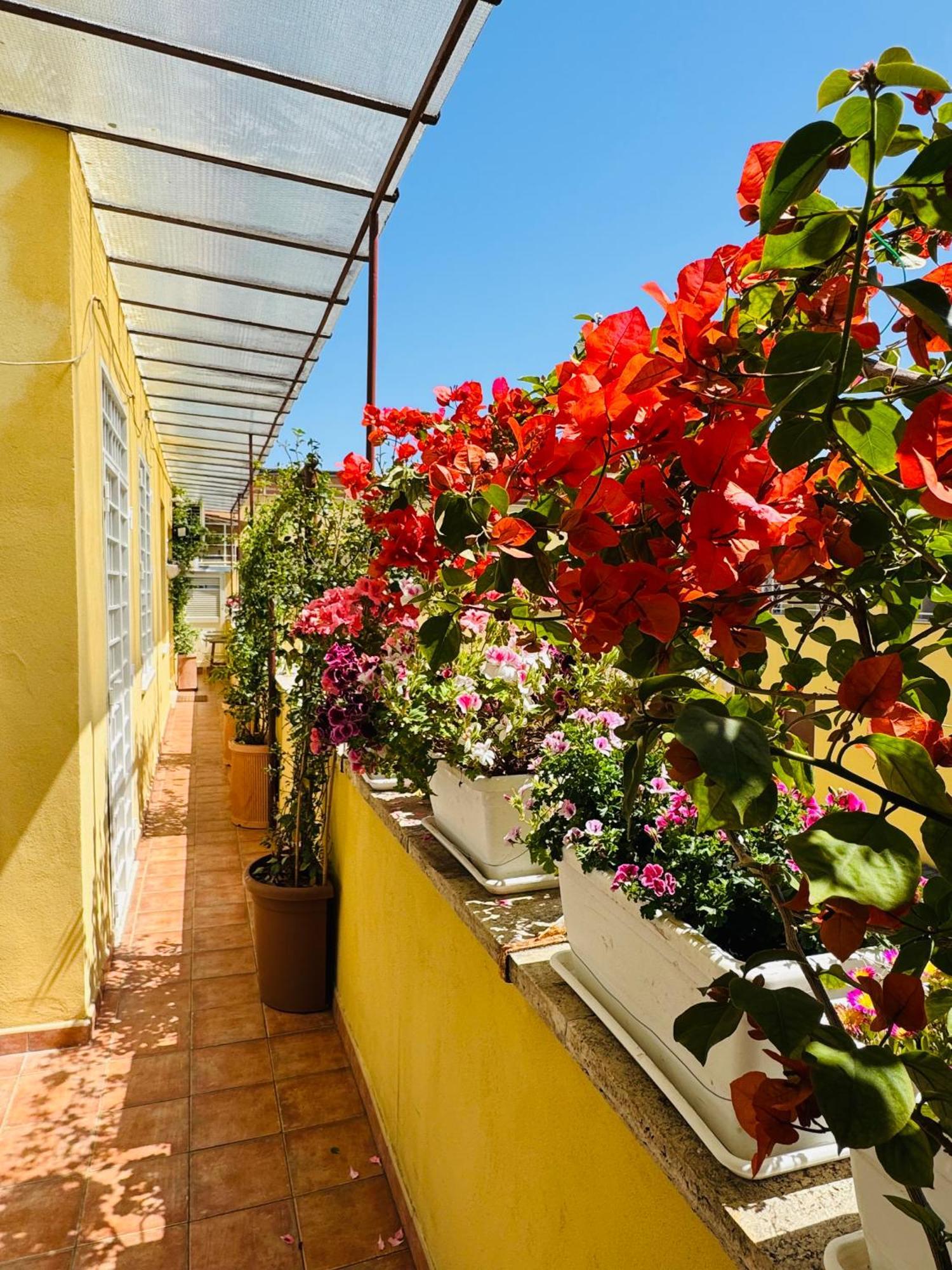 Apartamento Otranto 36 Roma Exterior foto